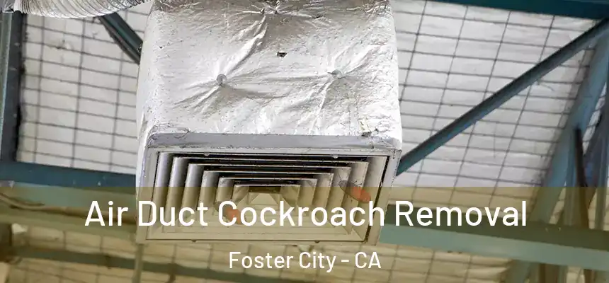  Air Duct Cockroach Removal Foster City - CA