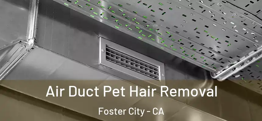 Air Duct Pet Hair Removal Foster City - CA