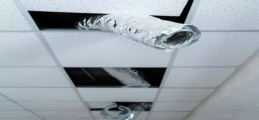 Affordable HVAC Sanitizing After Pest Removal in Foster City