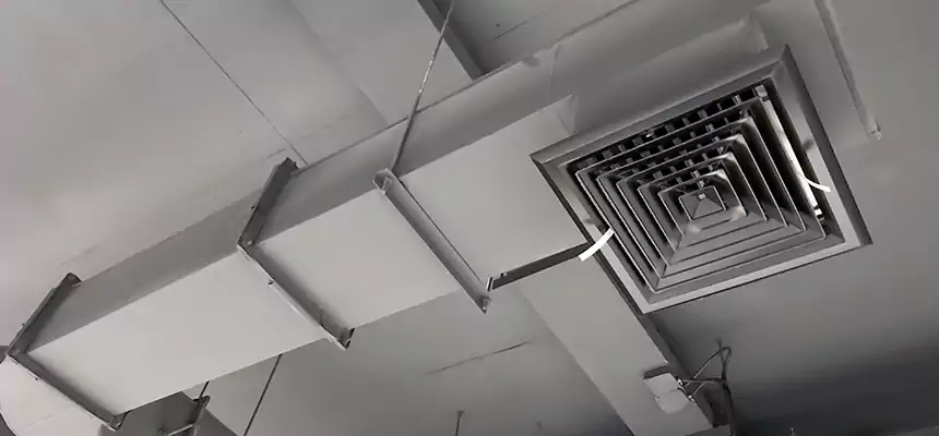 Our Pest Removal From Ducts Services in Foster City, CA