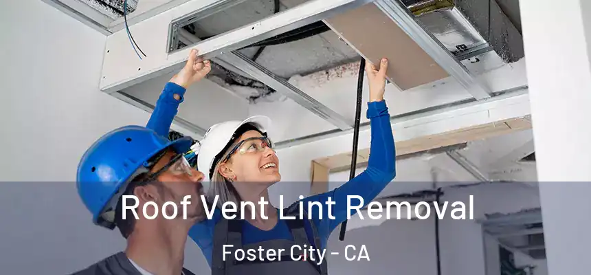  Roof Vent Lint Removal Foster City - CA