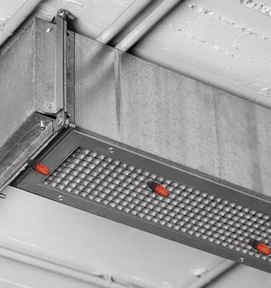 Affordable Insect Removal from Air Ducts in Foster City, CA