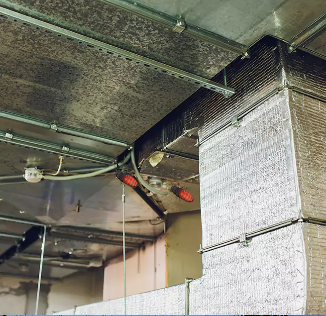 Why Homeowners & Businesses Trust Us in Foster City, CA?