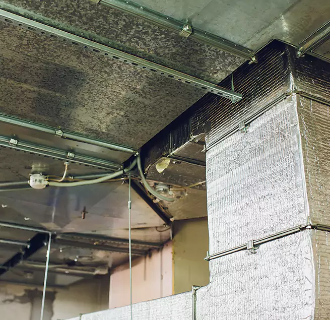 Why Homeowners & Businesses Trust Us in Foster City, CA?